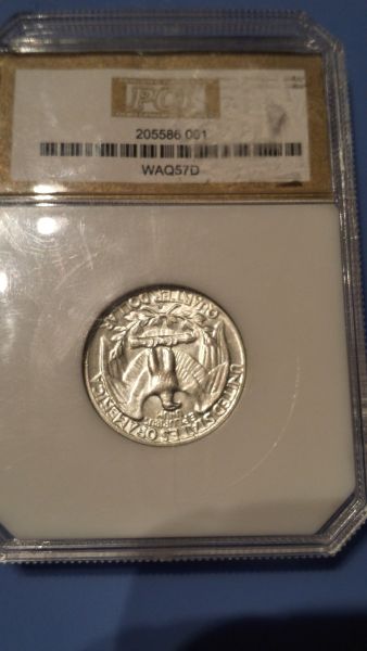 6-Dollar-Auction-Find